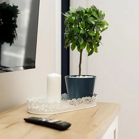 Apartment Baltic Mania Z Krytym Basenem- Baltic Apartments-sannel For Rent *