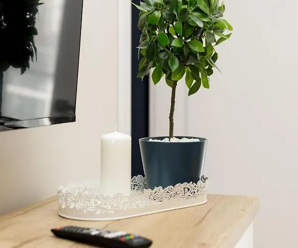 Apartament Baltic Mania Z Krytym Basenem- Baltic Apartments-sannel For Rent *