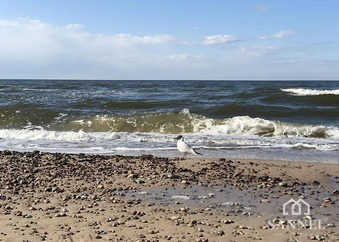 Apartament Baltic Mania Z Krytym Basenem- Baltic Apartments-sannel For Rent Pobierowo
